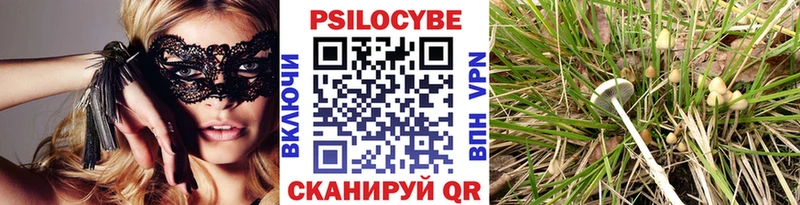 Псилоцибиновые грибы Psilocybine cubensis  МЕГА как зайти  Когалым 